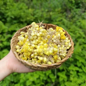 Altın Otu (50g)