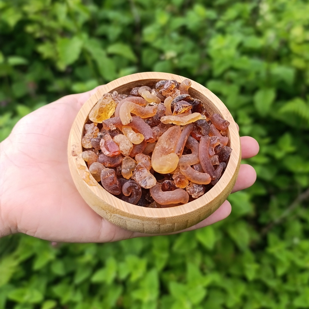 Arap zamkı (150g)