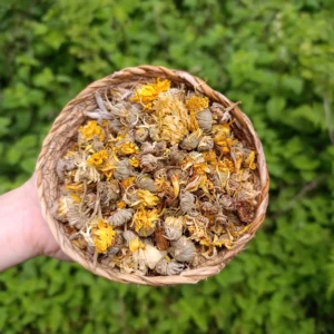 Aynısefa (50g)