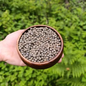 Bamya Tohumu (150g)