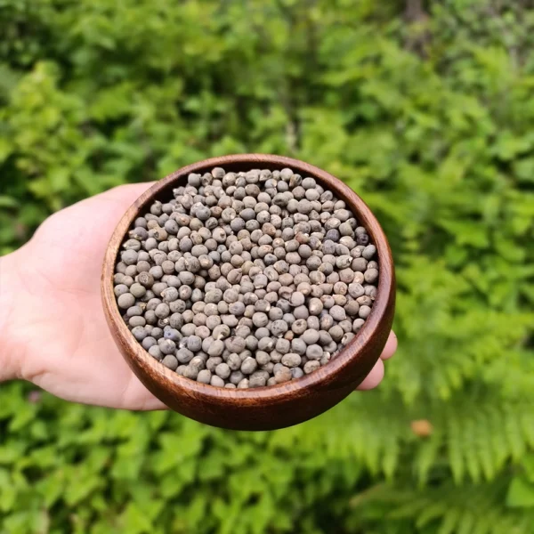 Bamya Tohumu (150g)