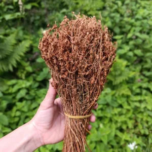 Kantaron çiçeği (50g)