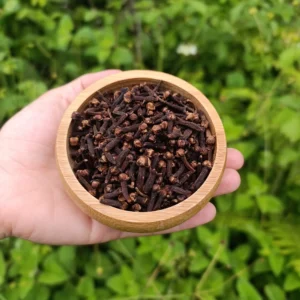 Karanfil (100g)