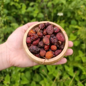Kuşburnu (150g)