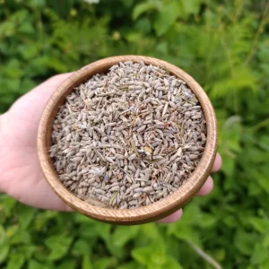 Lavanta Tohumu (100g)