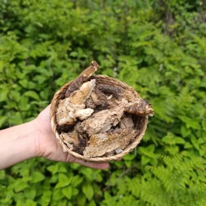 Meyan Kökü (100g)