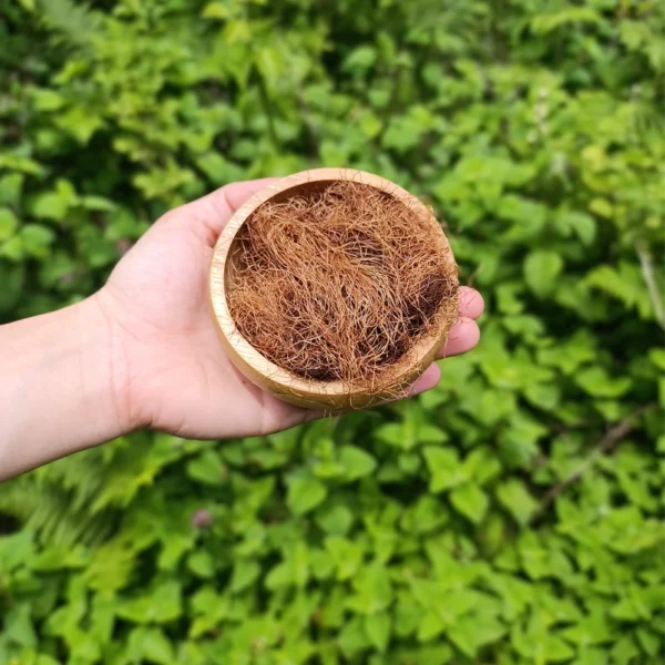 Mısır püskülü (50g)