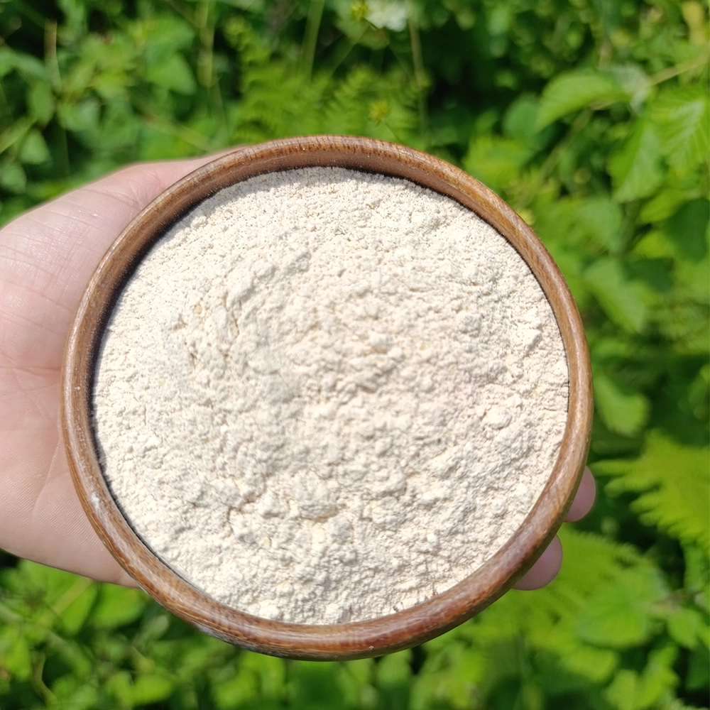 Orjinal Sahlep (50g)