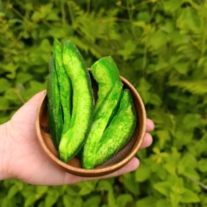 Pamelo Kurusu (100g)