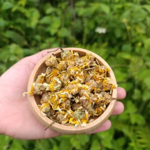 Sarı Papatya (100g)