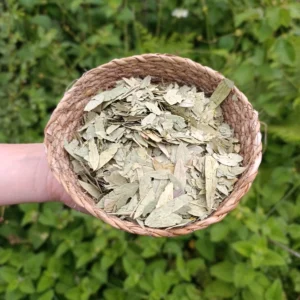 Sinameki (50g)