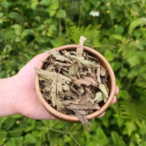 Stevia (50g)