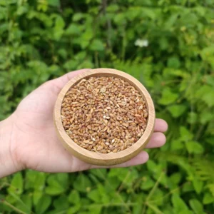 Süpürge tohumu (150g)