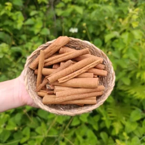 Çubuk tarçın (100g)
