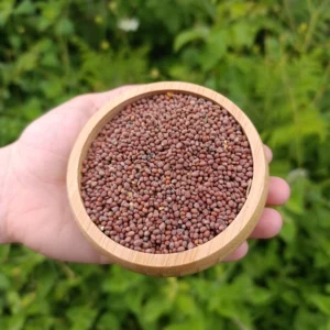 Turp Tohumu (150g)