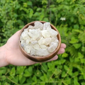 Sandaloz sakızı (100g)