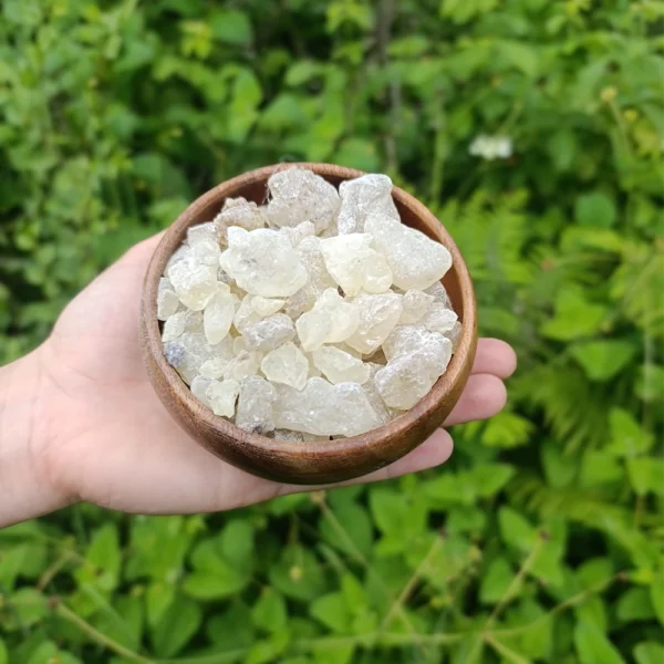 Sandaloz sakızı (100g)
